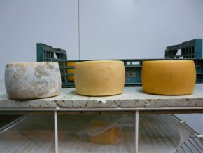 Artzai Gazta Idiazabal cheese. Photo by Mary S. Linn