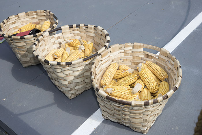 Corn used for races on the National Mall. Photo by Francisco Guerra, Ralph Rinzler Archives 