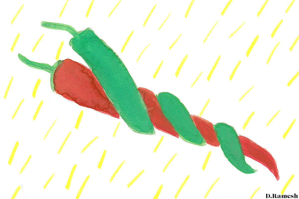 A Brief History of Chili Peppers from 6,100 Year Ago to Today