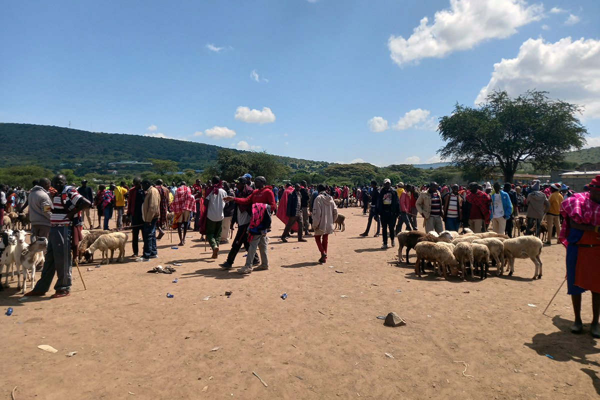 Crowds of people and goats on sandy terrain, green hills in the background. 