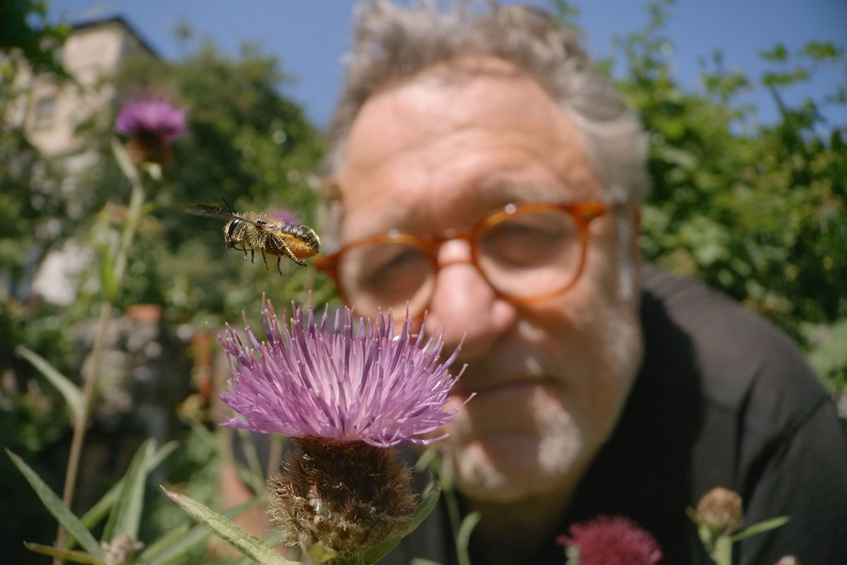 The Secret Life of Pollinators in My Garden of a Thousand Bees