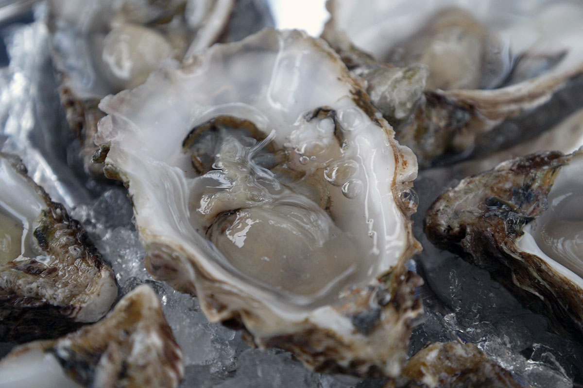 Oysters on a half shell on crushed ice.