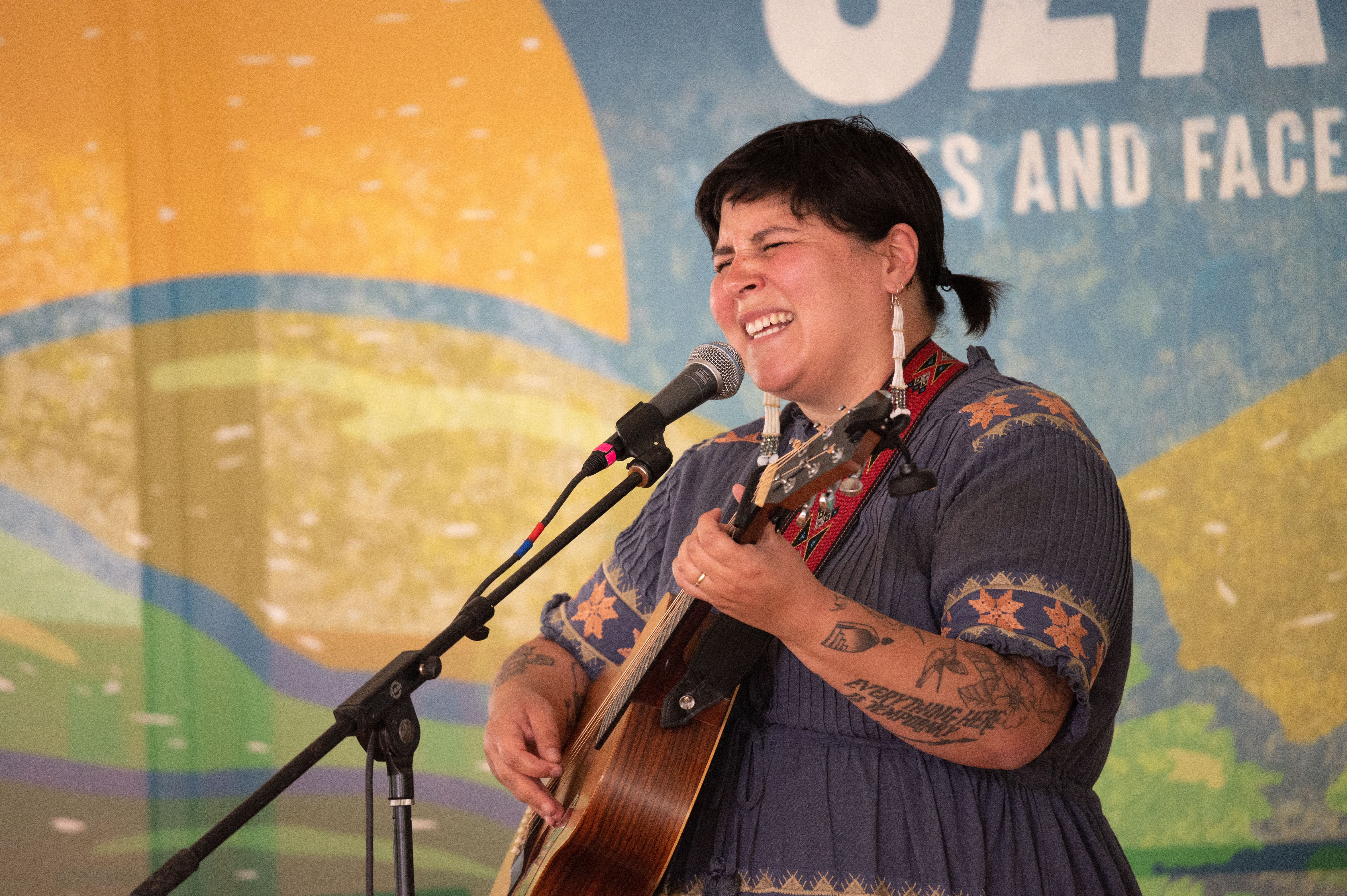 A woman with a mullet in a blue dress sings with eyes closed while holding a guitar, standing in front of a colorful drawing of the Ozark mountains.