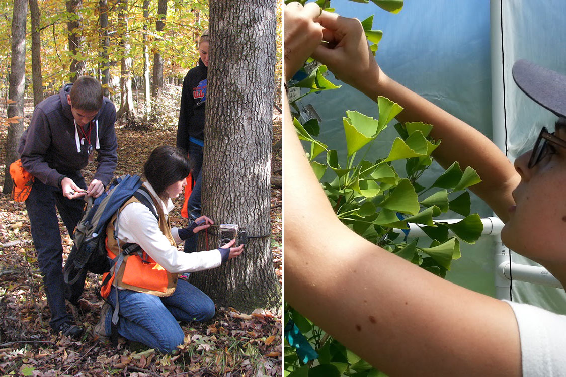 Smithsonian citizen-science projects in action: eMammal and Fossil Atmospheres.<br><br> Photos courtesy of the Smithsonian Conversation Biology Institute / Smithsonian Environmental Research Center