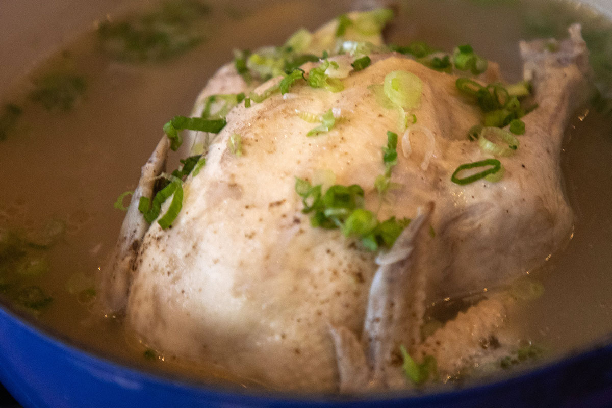 A whole small chicken cooking in brown broth in a blue pot with chopped green onions on top.