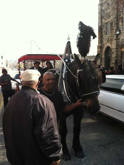 Teeth's coffin was placed on this Arabber's wagon for a short, symbolic round trip between the church and the stable owned by Ed Chapman, who was an Arabber of Teeth's generation—and who died just three days before Teeth on Friday, November 23. Photo by James C. Early