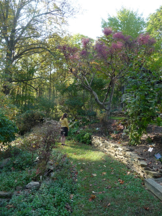 Dr. Duke’s Green Farmacy Garden, with blog author Katie in the background. Photo by Betty Belanus