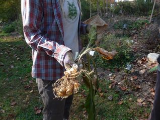 Saurus shows off a turmeric plant, which Dr. Duke believes can potentially treat pain and cancer and act as an anti-inflammatory. Photo by Betty Belanus