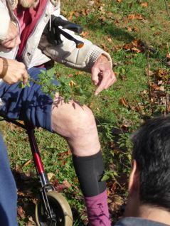 Dr. Duke demonstrates the medicinal properties of stinging nettle by administering some to his own leg. The stinging helps with arthritis and other ailments. Photo by Betty Belanus