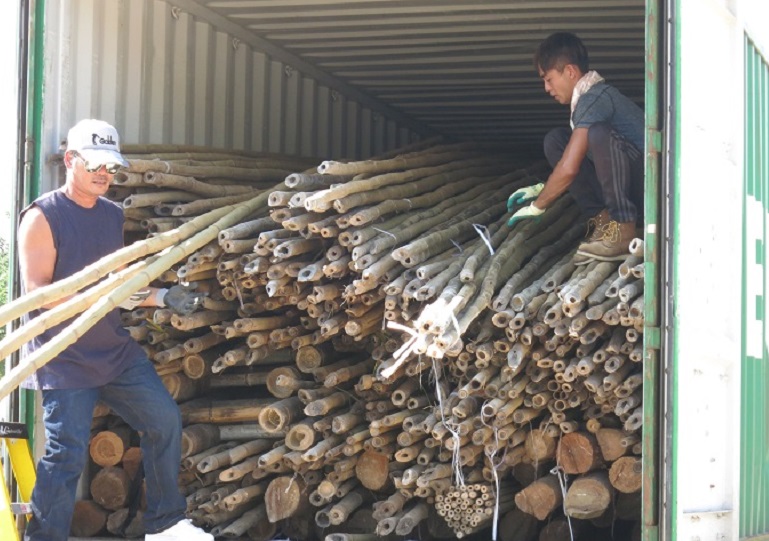 Craftsmen unload the bamboo from shipping containers. Construction of the plaque is expected to be finished next Tuesday.