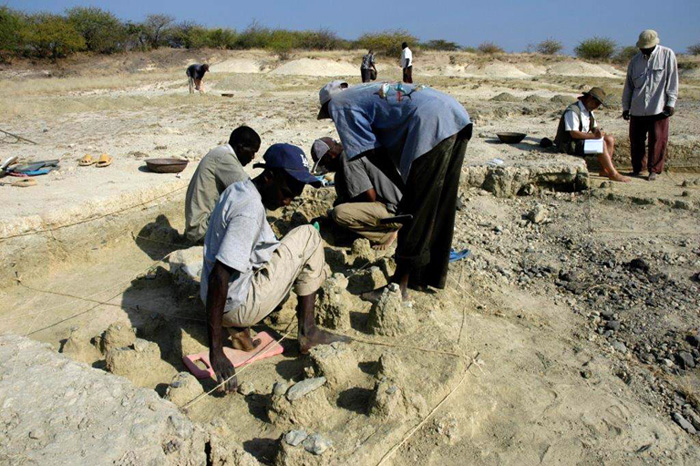 The excavation team at Olorgesailie finds multiple layers of handaxes and other ancient artifacts, indicating where early humans were making, using, and discarding their tools. Photo by Briana Pobiner, courtesy of Human Origins Program, Smithsonian National Museum of Natural History