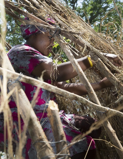 Tying grass over the wooden cross frame. Photo by Francisco Guerra, Ralph Rinzler Folklife Archives