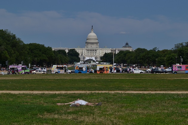 A sunbather on the National Mall. Photo by Meg Boeni