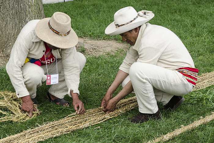 Bridge builders began work on the Q’eswachaka bridge replica, braiding grass to make rope. Photo by Josh Weilepp, Ralph Rinzler Folklife Archives