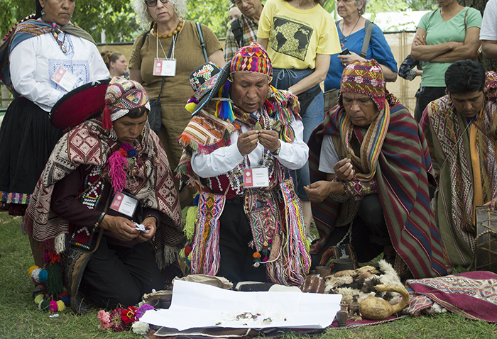 Timoteo Ccarita Sacaca (center) leads the alpaca chuyay. Photo by Sarah Bluestein, Ralph Rinzler Folklife Archives