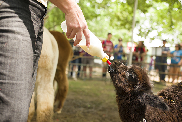 Our youngest participant took a break for a meal. Photo by Vivianne Peckham, Ralph Rinzler Folklife Archives