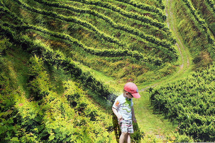 The beautiful photo murals across the Basque program were erected by the Intermedio design team, allowing young visitors to "explore" the Basque country. Photo by Alan Jinich, Ralph Rinzler Folklife Archives