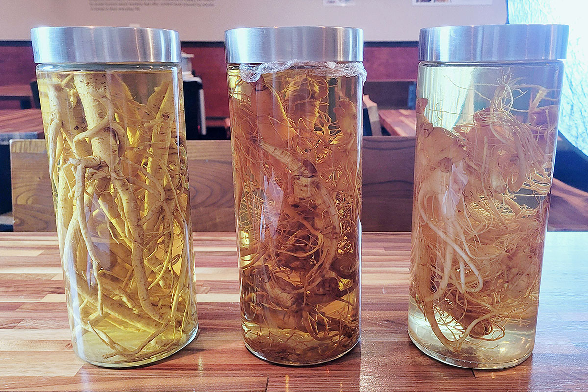 Three cylindrical bottles on a table, each containing clear liquid and a plant root with many thin tendrils.